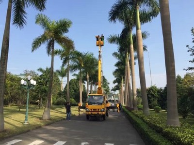 珠海香洲高空車、路燈車與升降車出租服務詳解